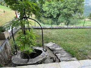 Un jardín fuera de Himalayan vibes