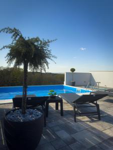 a table and a potted tree next to a pool at Kuća za odmor Jožić in Novakovec