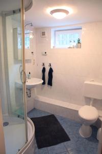 a bathroom with a shower and a toilet and a sink at Beautiful apartment for a Lüneburg getaway in Lüneburg