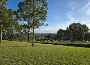 a tree in a field with a parking lot at Bluetongue Hideout in Mount Pritchard