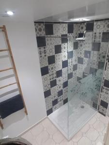 a shower with a glass door in a bathroom at Maison Chez Lili à 200 m de la plage ,jardin privé et clos in Gravelines