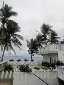 a house on the beach with palm trees and the ocean at Casa Vacanza Talaonga Ocean View Resort -Viajeros Booking Services in Sorsogon