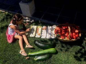Hostia v ubytovaní Casa Los Aperos