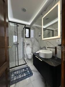 a bathroom with a sink and a shower and a toilet at Căsuța lui Filip in Teşila +49 photos