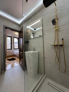 a bathroom with a shower and a sink in a room at Căsuța lui Filip in Teşila