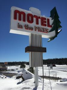 Motel In The Pines v zimě