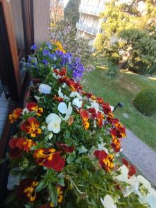 Un jardín fuera de La Dama dei Fiori