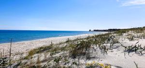 a beach with grass and sand and the ocean at MURISKA - Sa Petra Ruja in Santa Lucia