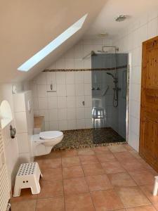 a bathroom with a shower and a toilet in it at Boardinghouse Südbrookmerland in Südbrookmerland