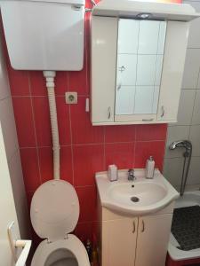 姆拉代诺瓦茨R & P Apartman Mladenovac的带马桶和水槽的小浴室