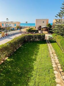 Příroda nedaleko vily