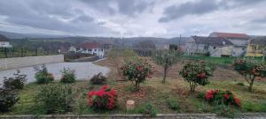 Elle offre une vue sur un jardin planté de fleurs et d'arbres rouges. dans l'établissement Madureira Country House - Natureza & Tranquilidade, à Paradela de Guiães