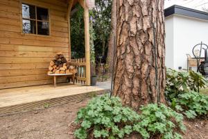 Taman di luar Mawosy Lodge +4 gambar