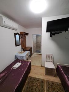 TV a/nebo společenská místnost v ubytování Zajazd Orchidea + 19 fotografií