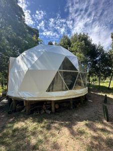 a tent that is sitting on logs in a field at El Domo del ALF La Paz entre el bosque y el mar II in Sauce de Portezuelo