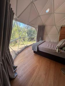 a room with a bed in a tent with a large window at El Domo del ALF La Paz entre el bosque y el mar II in Sauce de Portezuelo