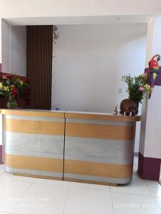 a counter with two potted plants on top of it at Chimicuas House in Puerto Maldonado