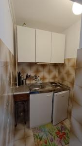 Kuchyň nebo kuchyňský kout v ubytování Apartments Gabriela