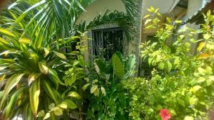 Mount Zion Guest House, Mtwapa Mtomondoni外面的花园