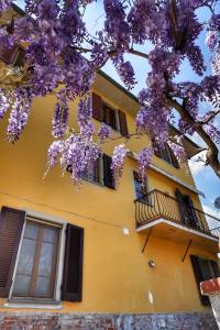a yellow building with a tree with purple flowers at Casa Magnolia in Bientina