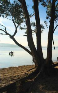 a person on a boat in the water near a tree at Apartamento Laredo con Terraza in Laredo