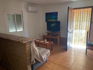 TV a/nebo společenská místnost v ubytování Granja de Iznate Apartamento