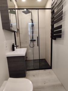 リエパーヤにあるCourtyard Condo Twinのバスルーム(シャワー、トイレ、洗面台付)