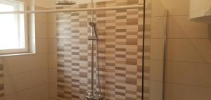a shower with a glass door in a bathroom at Berci Villa in Balatonboglár