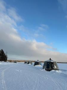 冬天的Vikajärvi Lake View Experience Igloos