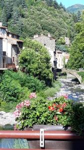 a view of a town with a river and flowers at Le marronnier in Valleraugue