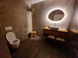 een badkamer met een toilet, een wastafel en een spiegel bij De Pingerhoeve in Nuth +37 foto's