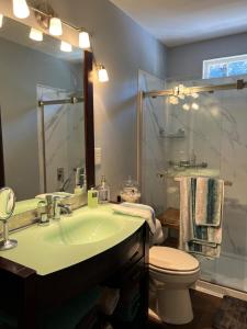 a bathroom with a sink and a toilet and a mirror at cozy retreat in upscale Green Hills in west Nashville in Nashville