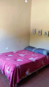 a bedroom with a pink blanket on a bed at Jujuy Hub Hostel in Reyes