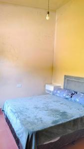 a bedroom with a bed in a room at Jujuy Hub Hostel in Reyes