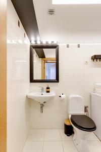 ヴィリニュスにあるTyzen39&38 Luxury Apartmentのトイレ、洗面台、鏡のあるバスルーム