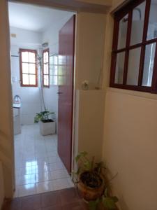 a hallway of a house with a door and plants at Linas Apart & Suite in La Rioja