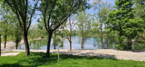 a view of a lake with trees in the grass at Barrels by the Lake in Priles