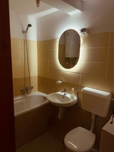 a bathroom with a sink and a toilet and a bath tub at Apartment Silence B in Plužine +7 photos