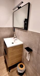 ein Badezimmer mit Waschbecken und Spiegel in der Unterkunft Entre lac et montagne in Doussard + 15 Fotos