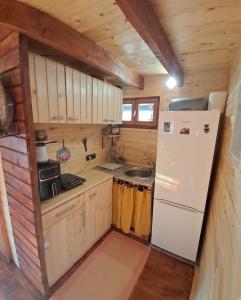 a small kitchen with a refrigerator and a sink at Brvnara Topilo in Niš +34 photos