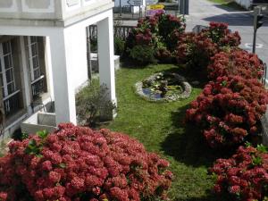 Gallery image of Villa Andrade in Mor