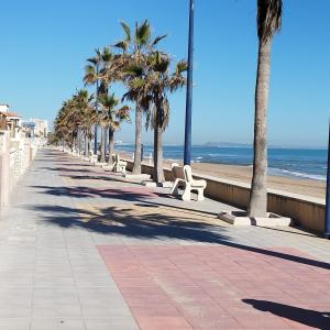 a sidewalk with palm trees and a beach at Relax on Miramar Beach in Miramar