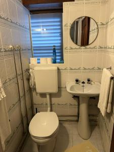 a bathroom with a toilet and a sink and a mirror at Casa Rainha Dª Amélia in Termas de Sao Pedro do Sul +28 photos