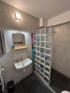 a bathroom with a sink and a toilet and a mirror at le petit sport 2 in La Salle-les-Alpes +16 photos