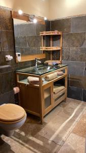 a bathroom with a sink and a toilet at Les 3 flocons in La Colmiane