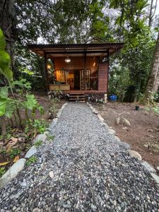 a stone path leading to a small house at New Premium Jungle Cabin in Big Creek +11 photos