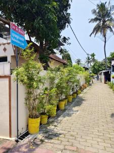 a row of plants in yellow pots on a street at Casa De Nazareth Homestay in Cochin