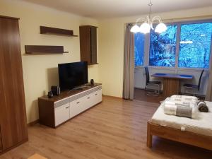 Fotografie z fotogalerie ubytování Silent Park Apartment v destinaci Baden