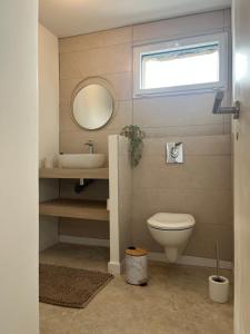 ein Badezimmer mit Toilette, Waschbecken und Spiegel in der Unterkunft Maison de campagne proche 24h in Roézé-sur-Sarthe