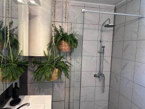 a bathroom with a shower with plants on the wall at Black and Ginger Residence in Zrenjanin +48 photos